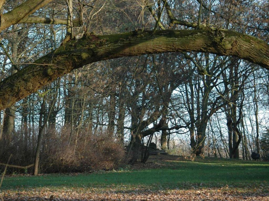 Jadgschloss Zu